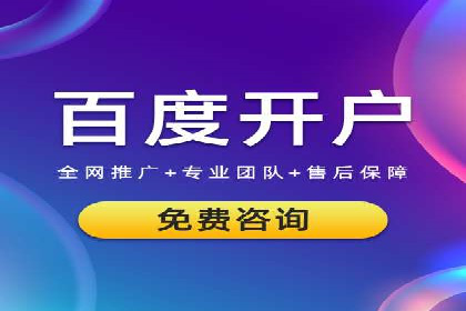SEM推广策略如何制定——以某电商平台的成功案例为例